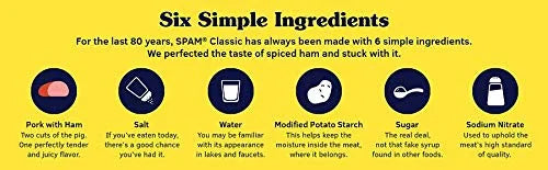 SPAM Single Classic, 2.5 Oz Pouch, 12Count